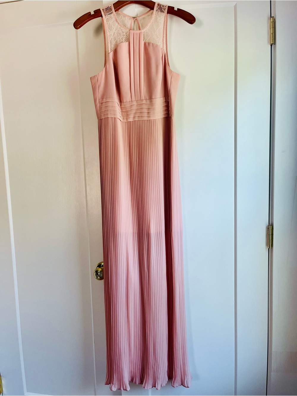 BCBGMaxAzria Blush Pink Lace-Yoke Pleated Maxi Dress